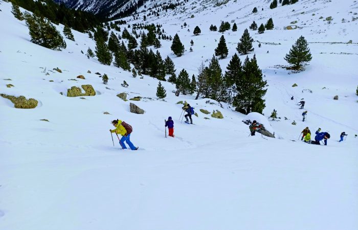 Raquetas de nieve en el Pirineo